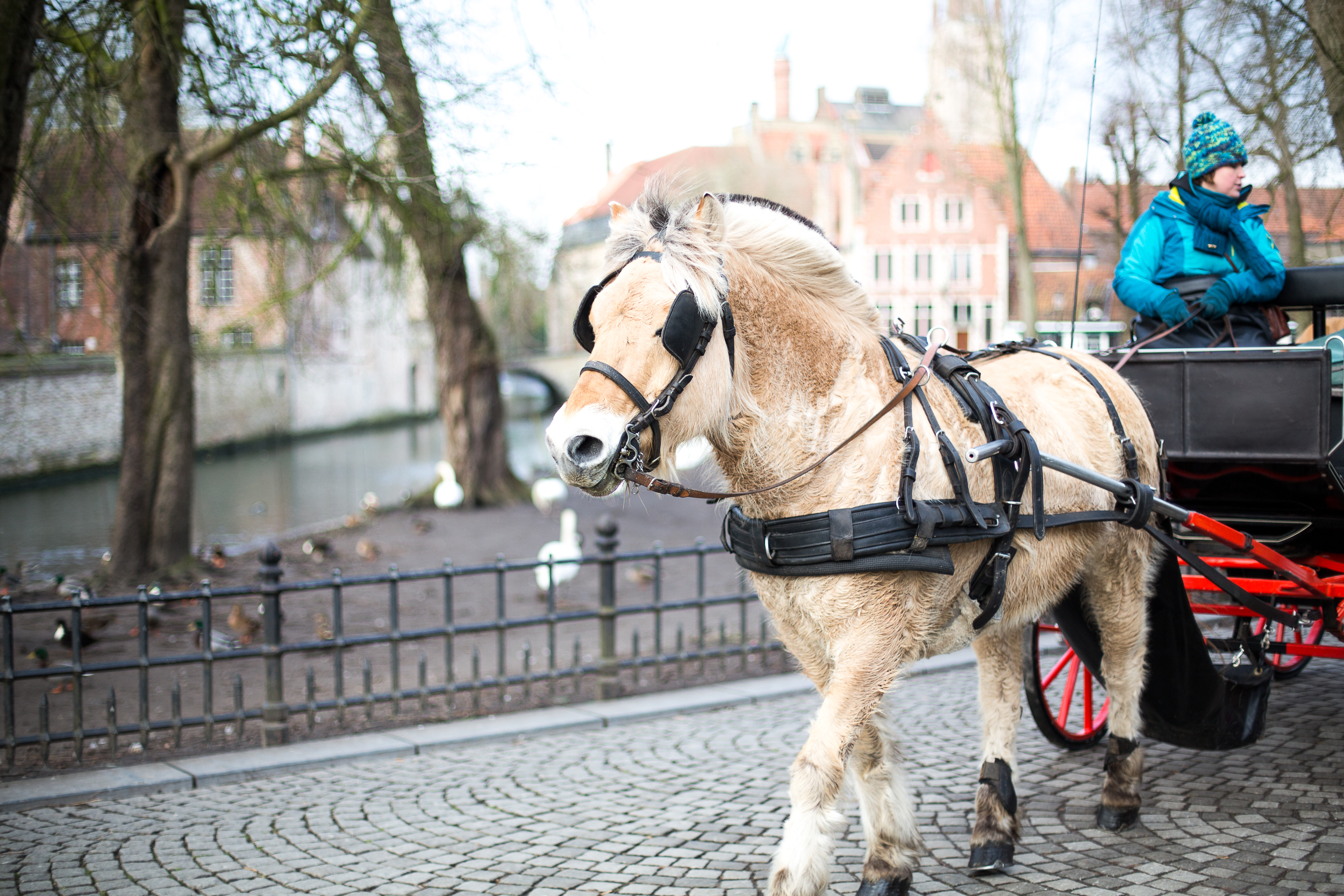 BRUGES CITY GUIDE