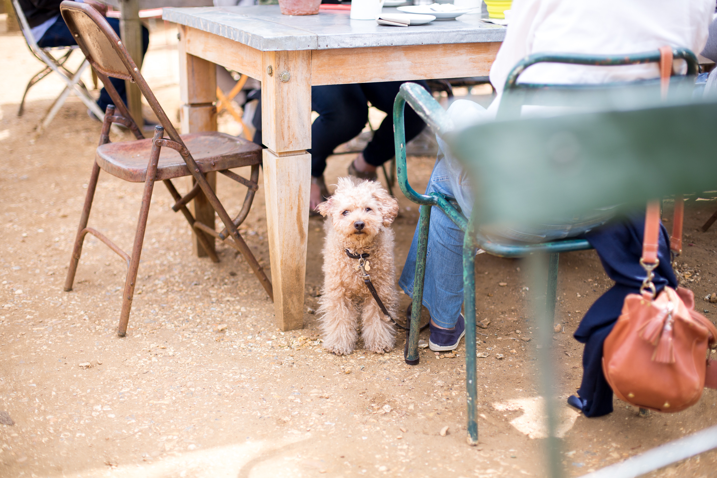 Mediamarmalade Petersham Nurseries