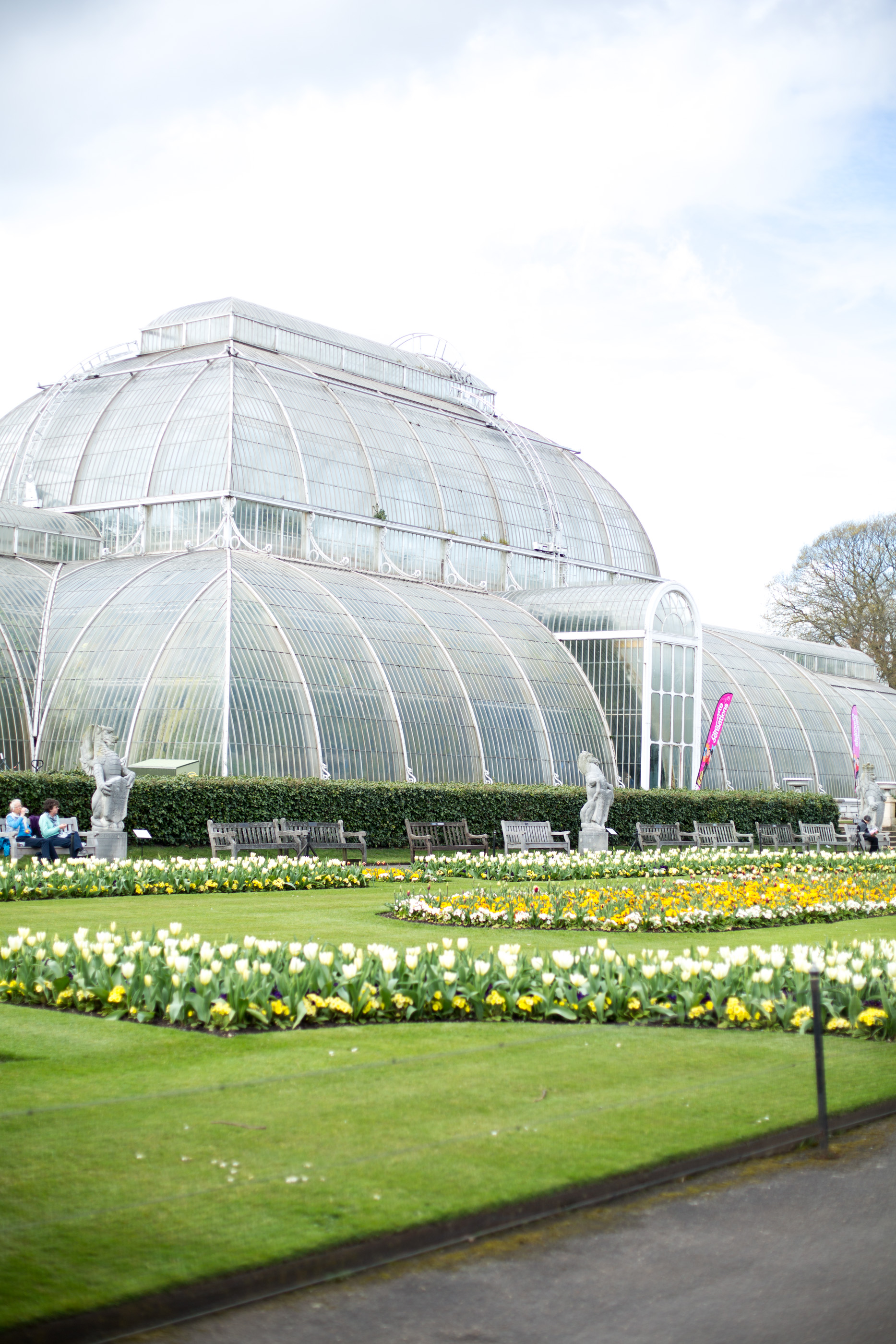 mediamarmalade Kew Gardens Guide