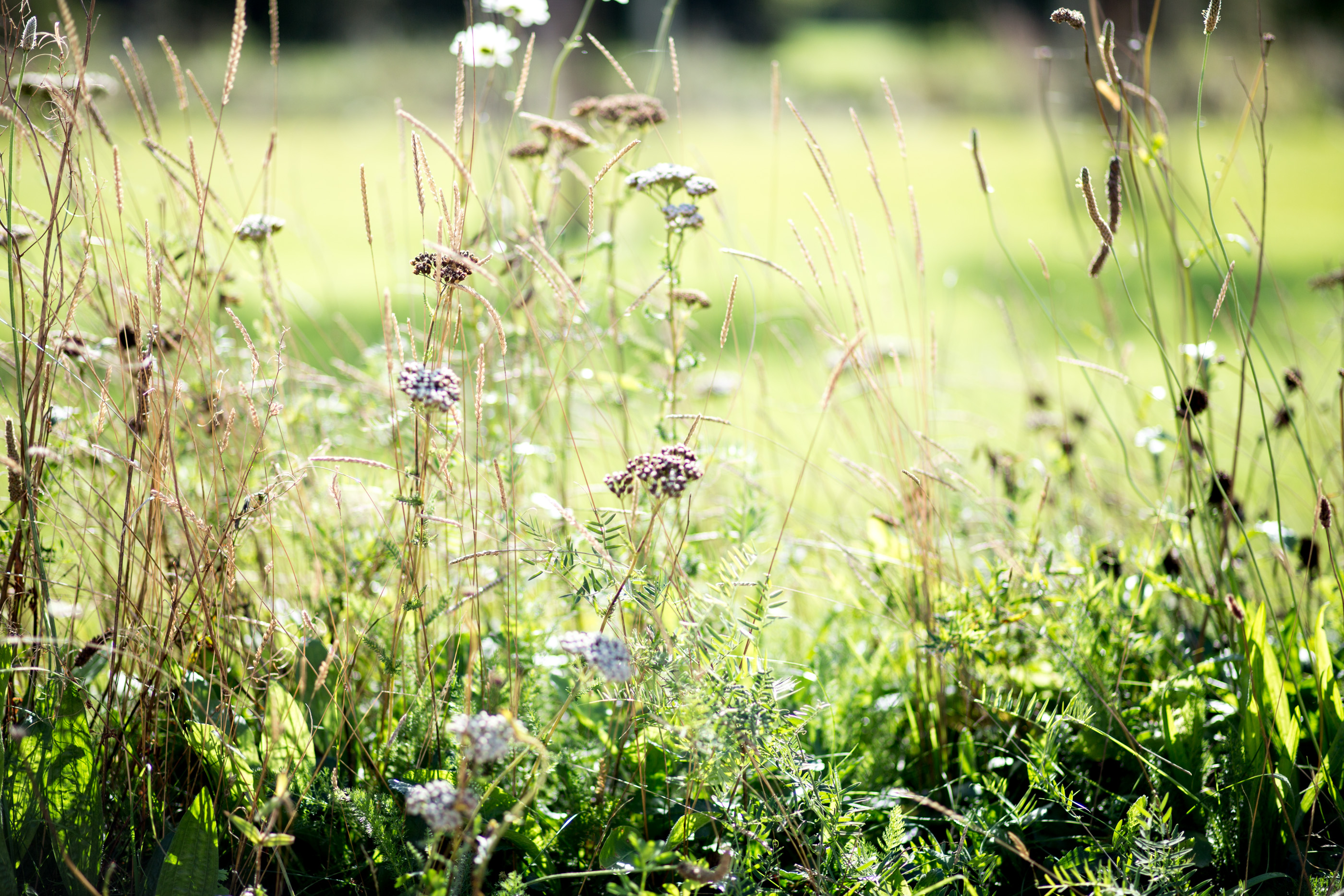 mediamarmalade_soho_farmhouse-323